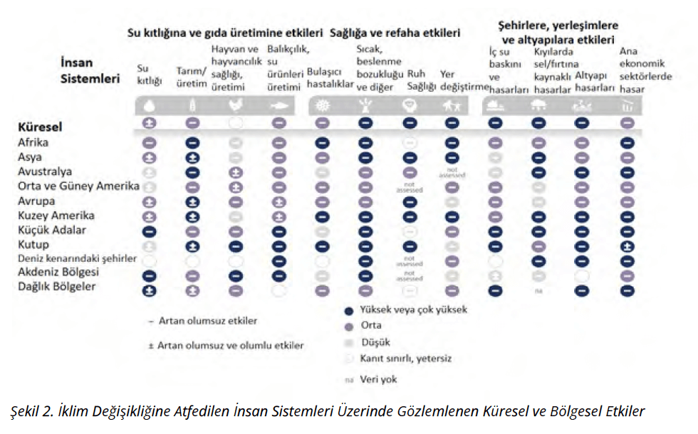 sağlık 