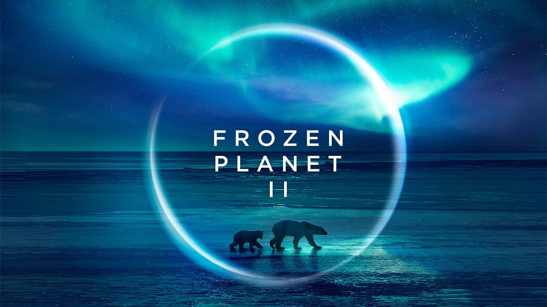 Frozen Planet II