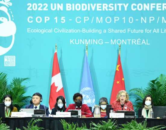 COP15