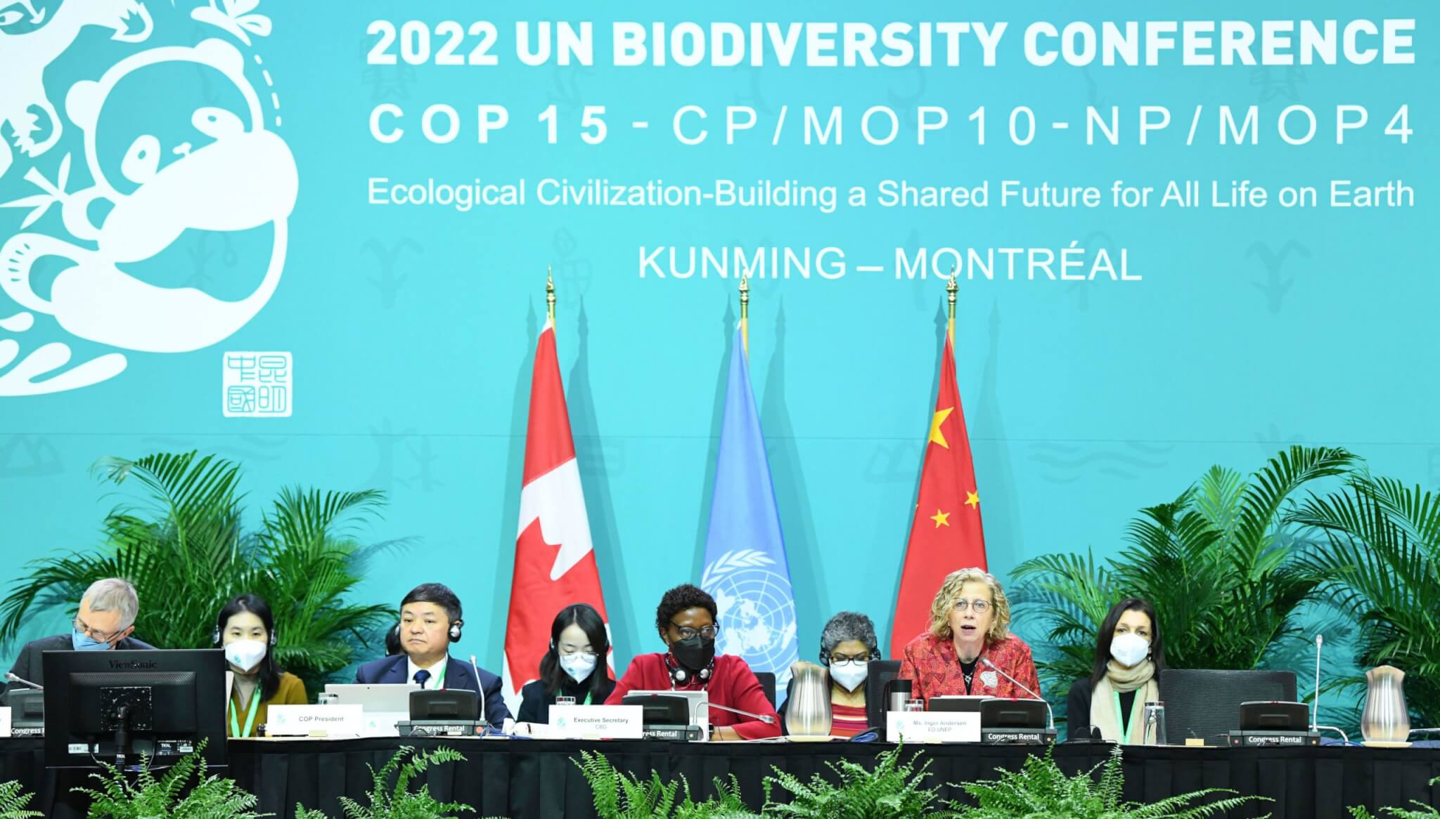 COP15