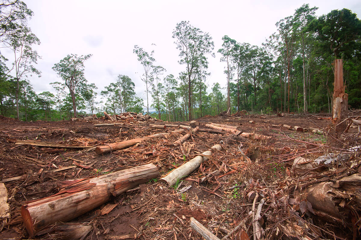 habitat