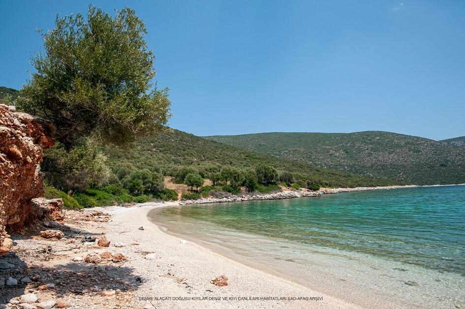 çeşme