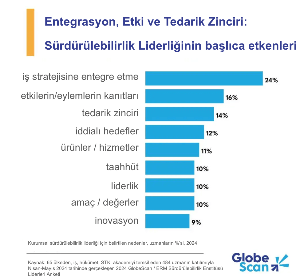 YazardanUlasanGorsel Surd.Kalkinma GulinYucel TurkceGrafik 114