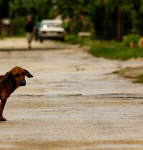 ricardo iv tamayo 9opwOx9OrGI unsplash