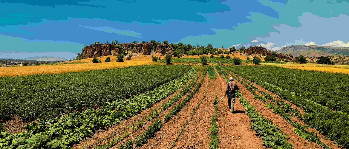 Farmer,Working,In,The,Field.,Kilistra, ,Konya,/,Turkey