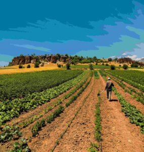 Farmer,Working,In,The,Field.,Kilistra, ,Konya,/,Turkey