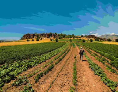 Farmer,Working,In,The,Field.,Kilistra, ,Konya,/,Turkey