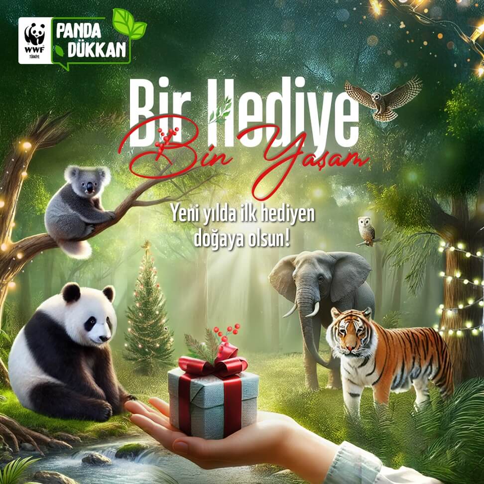 wwf hediye