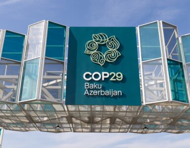 fao cop29 venue